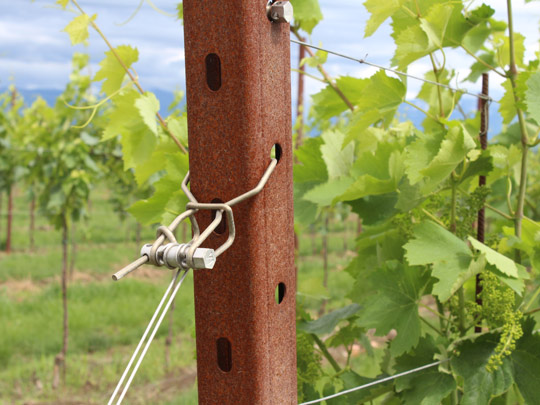 Accessories for vineyards